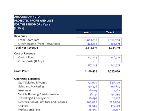provide investor ready financial projections, forecasts and financial model